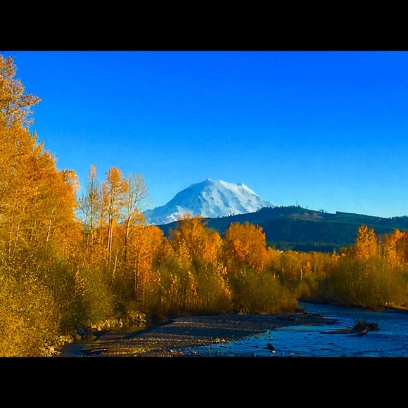 Meet your Posher, Tacey - Picture 4 of 10